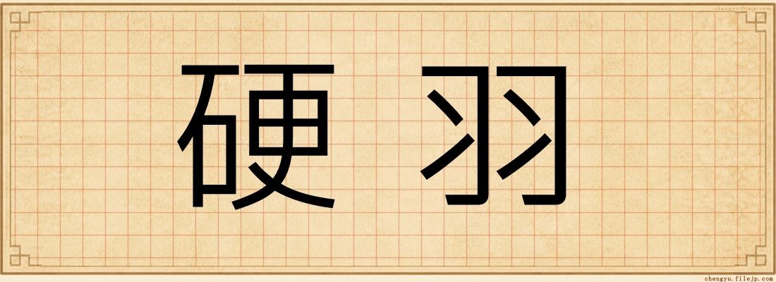 硬羽
